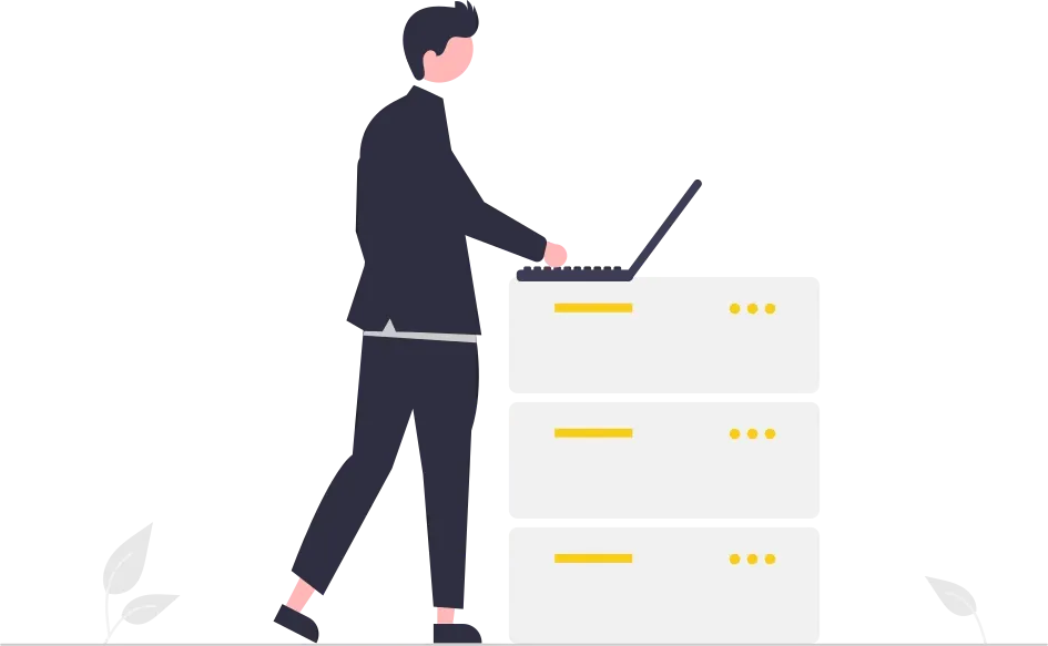 illustration of a person next to a web server